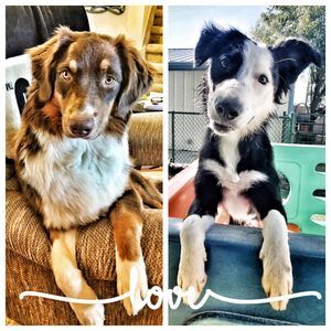 Meet your Posher, Jodi